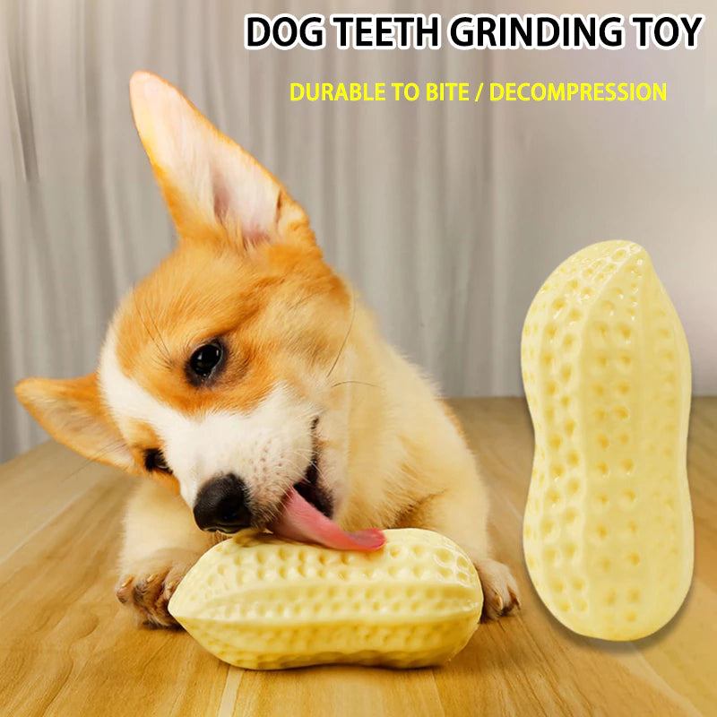 PetTime Puppy Peanut Chew Toy with durable rubber and realistic peanut design, perfect for teething and play.