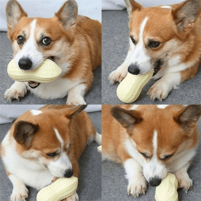 PetTime Puppy Peanut Chew Toy featuring a colorful rubber puppy-shaped chew toy designed for small dogs.