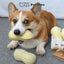 PetTime Puppy Peanut Chew Toy showing a soft rubber chew toy with a peanut shape for puppies.