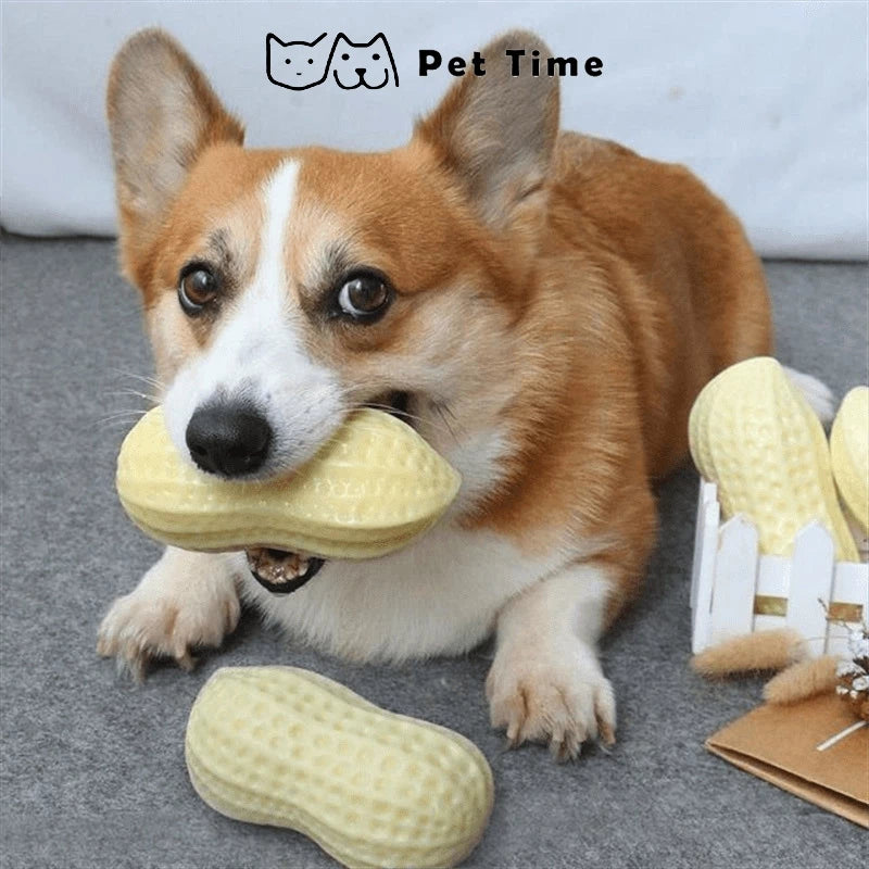 PetTime Puppy Peanut Chew Toy showing a soft rubber chew toy with a peanut shape for puppies.
