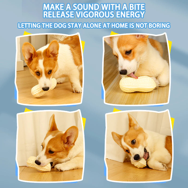 PetTime Puppy Peanut Chew Toy with textured peanut shape and durable rubber material for puppies to chew and play.