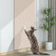 （Pet Time）Cat Scratch Protector Sticker Self-Adhesive Furniture & Sofa Protection Anti-Scratch Wear resistant sisal pad