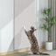 （Pet Time）Cat Scratch Protector Sticker Self-Adhesive Furniture & Sofa Protection Anti-Scratch Wear resistant sisal pad