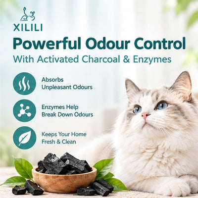 （Pet Time）100% Natural Food-Grade Soybean Cat Litter 2.3kg Low Dust 0.4% 1.5mm Fine Granules Flushable Deodorizing