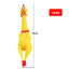 PetTime dog squeaky chew toy with textured surface for interactive play and dental entertainment.